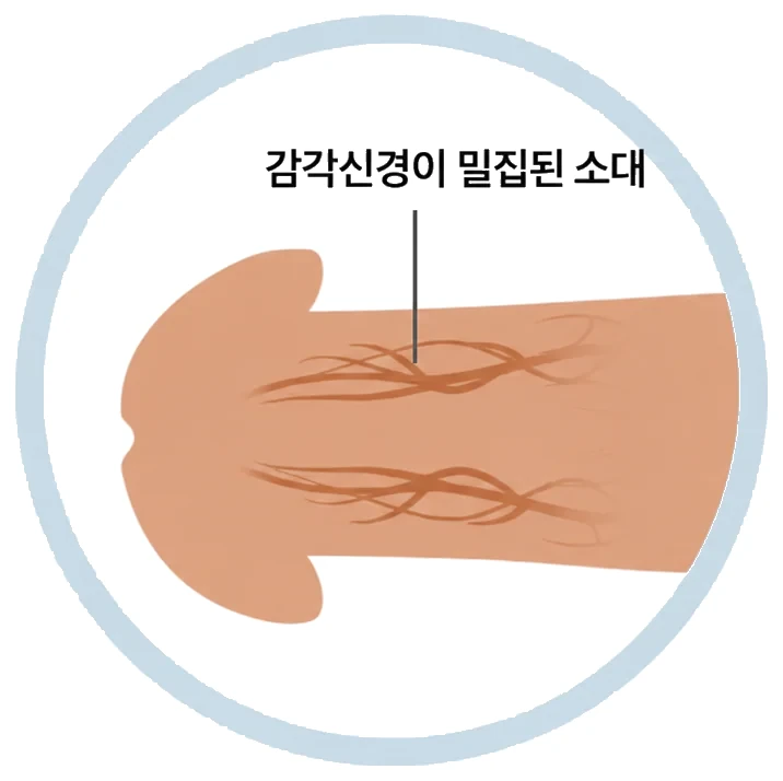 소대절제술 수술 전과 수술 후