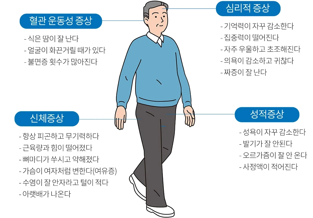 남성갱년기 증상 개념도 — 혈관 운동성 증상(식은땀·화끈거림·불면), 심리적 증상(기억력·집중력 저하, 우울·초조·짜증), 신체 증상(피로·근력 저하·여유증·복부 비만), 성적 증상(성욕 감소·발기력 저하·사정액 감소)