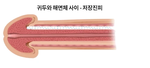 시트의 규격과 두께 확인